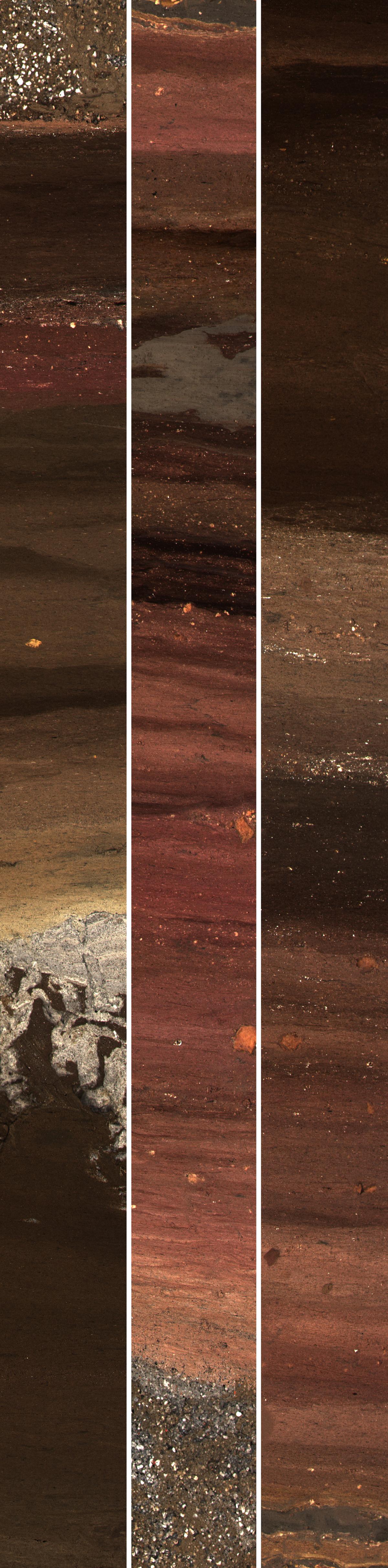 Image of layered sediment cores collected in Mexico